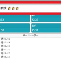 レースごとに星1～3の自信度がある