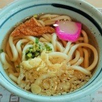「宝来」の「かけうどん」