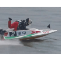 フラミンゴターンを紹介