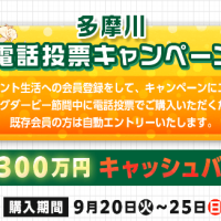 見逃せないキャンペーン！
