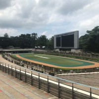 公営競技の選手寿命はいったいどれぐらいなのかを調査