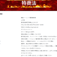 競艇予想サイト「バーニング」の特商法に基づく表記