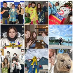Instagramの投稿内容