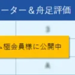 PREMIUM極プランに入ることで見ることができるデータ