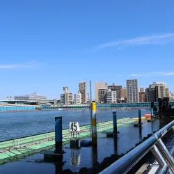 ボートレース福岡で競艇に興味を持つ