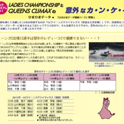 公式サイトに載ったひまひまデータ3のコラム