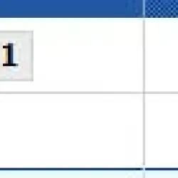 100円が4万に化けることも…！？