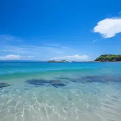 夏と言えば海！今回の題材は海に深く関わる潮のお話