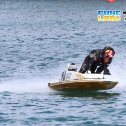 注目の田口節子