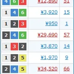 4日目の払い戻し一覧