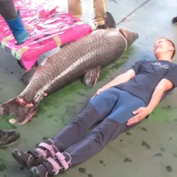 今回捕獲された魚と隣に横たわる西山貴浩