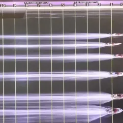 2025年1月21日浜名湖12Rスリット写真