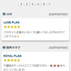 レビューは捏造の可能性が高い