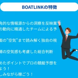 ボートリンクの特徴
