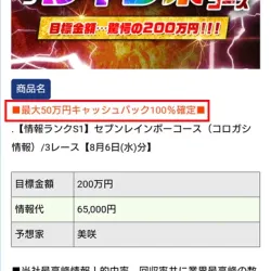 キャッシュバック100％を謳うプラン