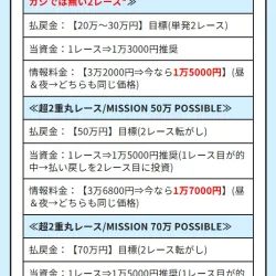 超2重丸レースの詳細ページ