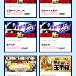 的中実績ページ