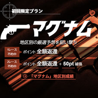 初回限定プラン「マグナム」