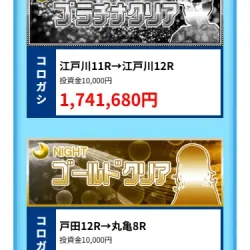 的中実績にない