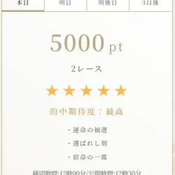 波紋が提供している有料予想の説明