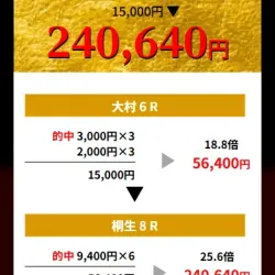 詳細な賭金説明