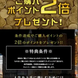 小さい文字で条件が書いてある