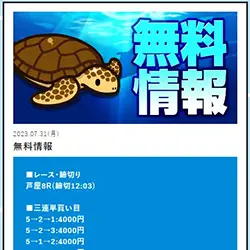 無料予想にしては配分が高く感じられる