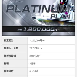 プラチナプランの詳細