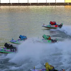 企画レースで予想を当てよう