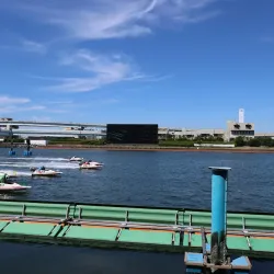 コース別の勝率や決まり手をチェック